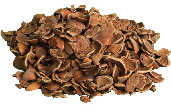 Gusci di nocciole